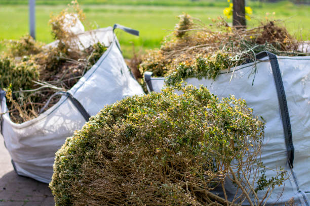 Best Basement Cleanout Services  in Gold River, CA